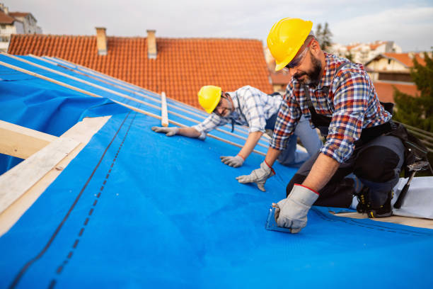 Best Best Roofing Contractors  in Marshall, MN